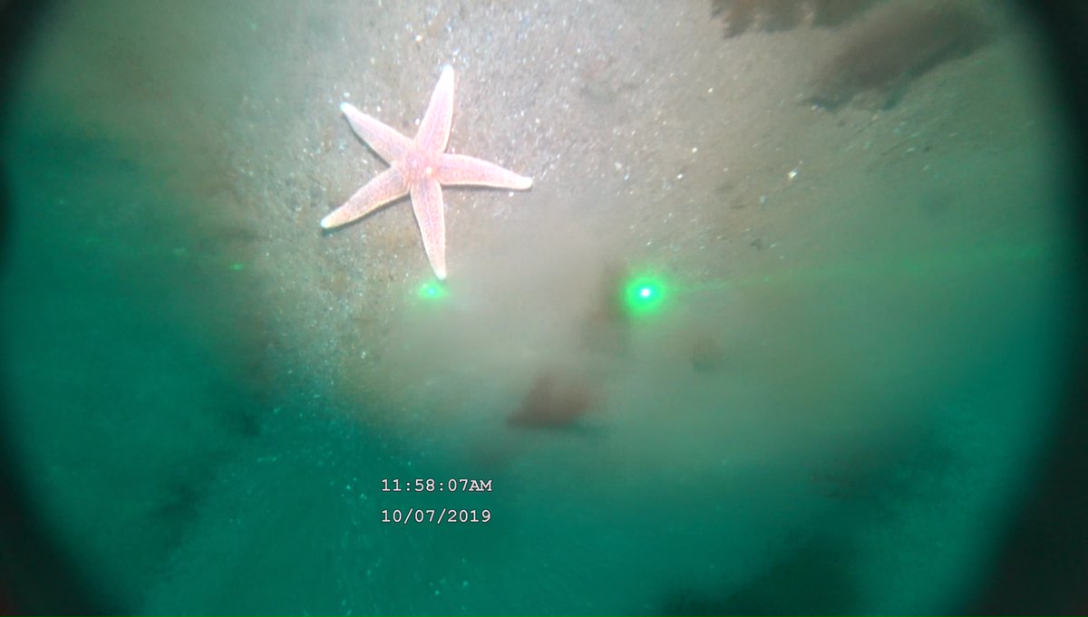 Katleen Robert (@katleenrobert) on Twitter photo New MSc opportunity <a href="/SchoolofOceanT2/">School of Ocean Technology</a> <a href="/marineinstitute/">Marine Institute, Memorial University</a> to work with @CraigBrown_Dal and myself on habitat mapping around submarine groundwater discharge offshore PEI. Part of the <a href="/OceanFrontier/">Ocean Frontier Institute</a> project SOURCE.
To apply visit: mi.mun.ca/media/marinein⦠New MSc opportunity <a href="/SchoolofOceanT2/">School of Ocean Technology</a> <a href="/marineinstitute/">Marine Institute, Memorial University</a> to work with @CraigBrown_Dal and myself on habitat mapping around submarine groundwater discharge offshore PEI. Part of the <a href="/OceanFrontier/">Ocean Frontier Institute</a> project SOURCE.
To apply visit: mi.mun.ca/media/marineinā¦