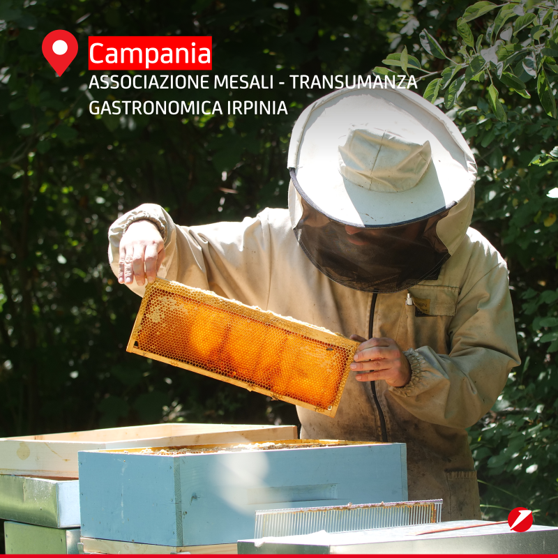 UniCredit_IT's tweet photo. #OurCommunities: esperienze uniche, storia, tradizioni e natura d’Italia sono il cuore pulsante del nostro programma #Made4Italy. Lo abbiamo raccontato sul sito del nostro partner @LonelyPlanet.

👀 Scopri di più: https://t.co/3gDxwfUrpE