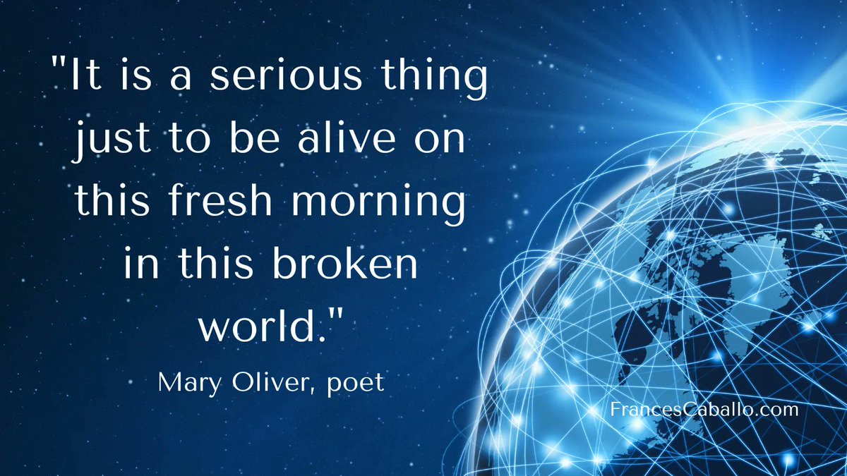 𝙁𝙧𝙖𝙣𝙘𝙚𝙨 𝘾𝙖𝙗𝙖𝙡𝙡𝙤 | Thriving tweet media