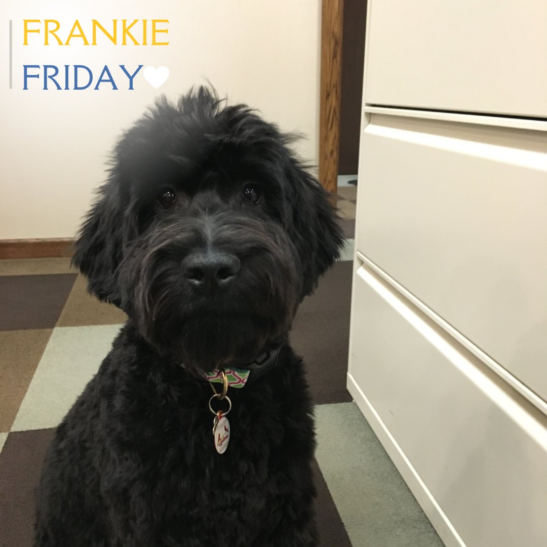 Good morning; it's just Frankie wishing you a great day!