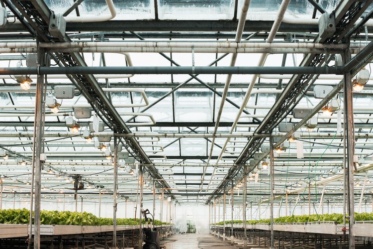 HuddsUnlimited's tweet photo. Huddersfield business, @B10WBR has successfully partnered with CROP17 as a member of its turnkey solution, for planning, building and operating legal cannabis facilities! โ๏ธ
Read the full article here๐https://t.co/4eh2fJMSGM
#ourhuddersfield #medicalcanabis #CROP17 https://t.co/tUzASXens8