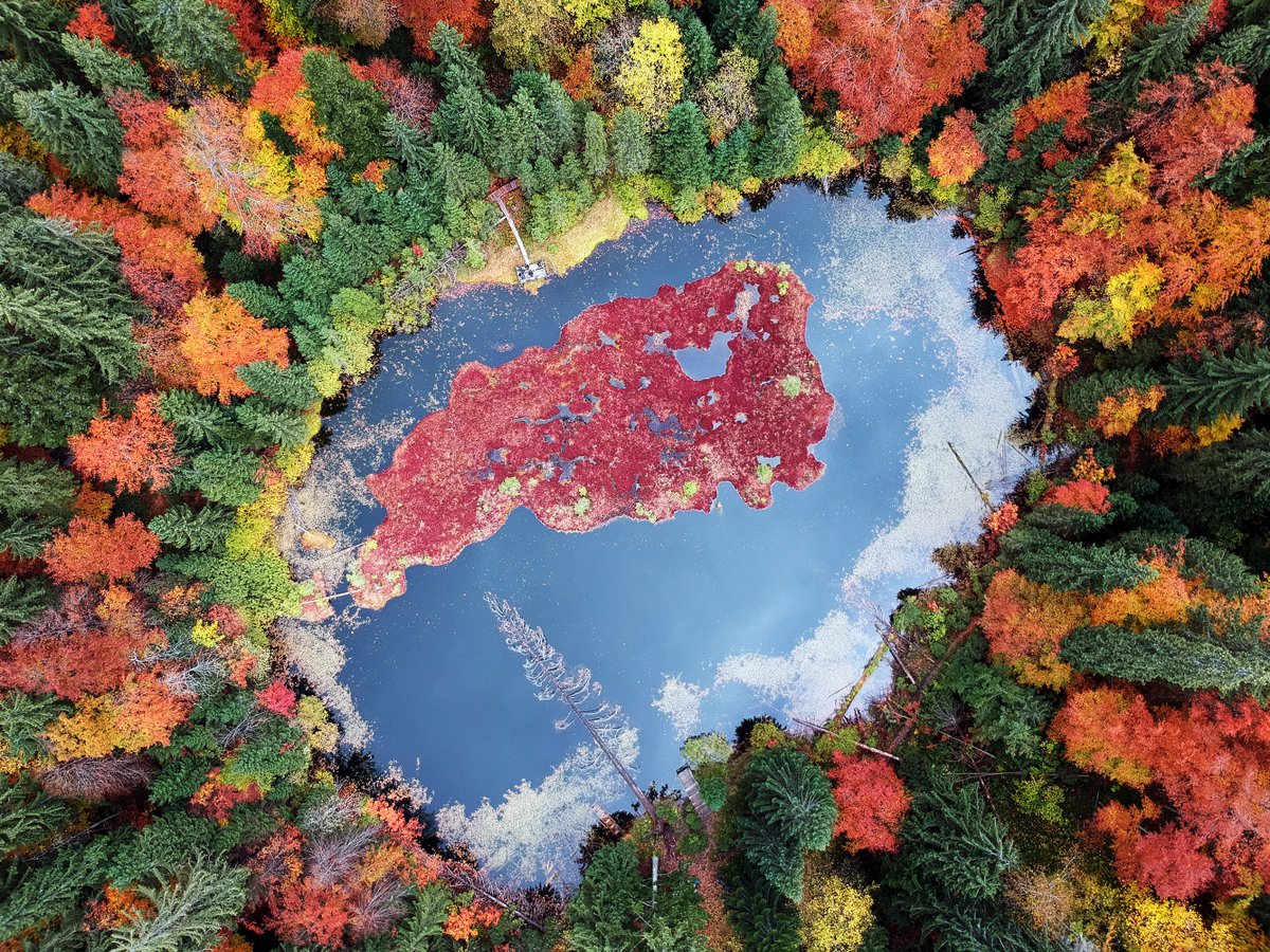 The Power Path tweet media