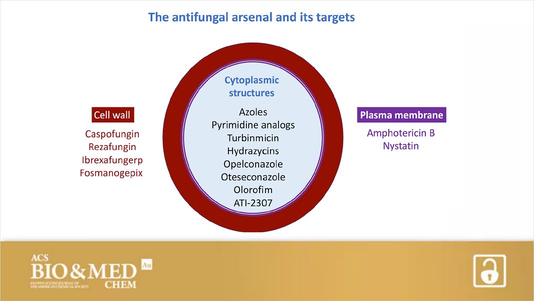 ACS Publications Bio & Med Chem Content tweet media