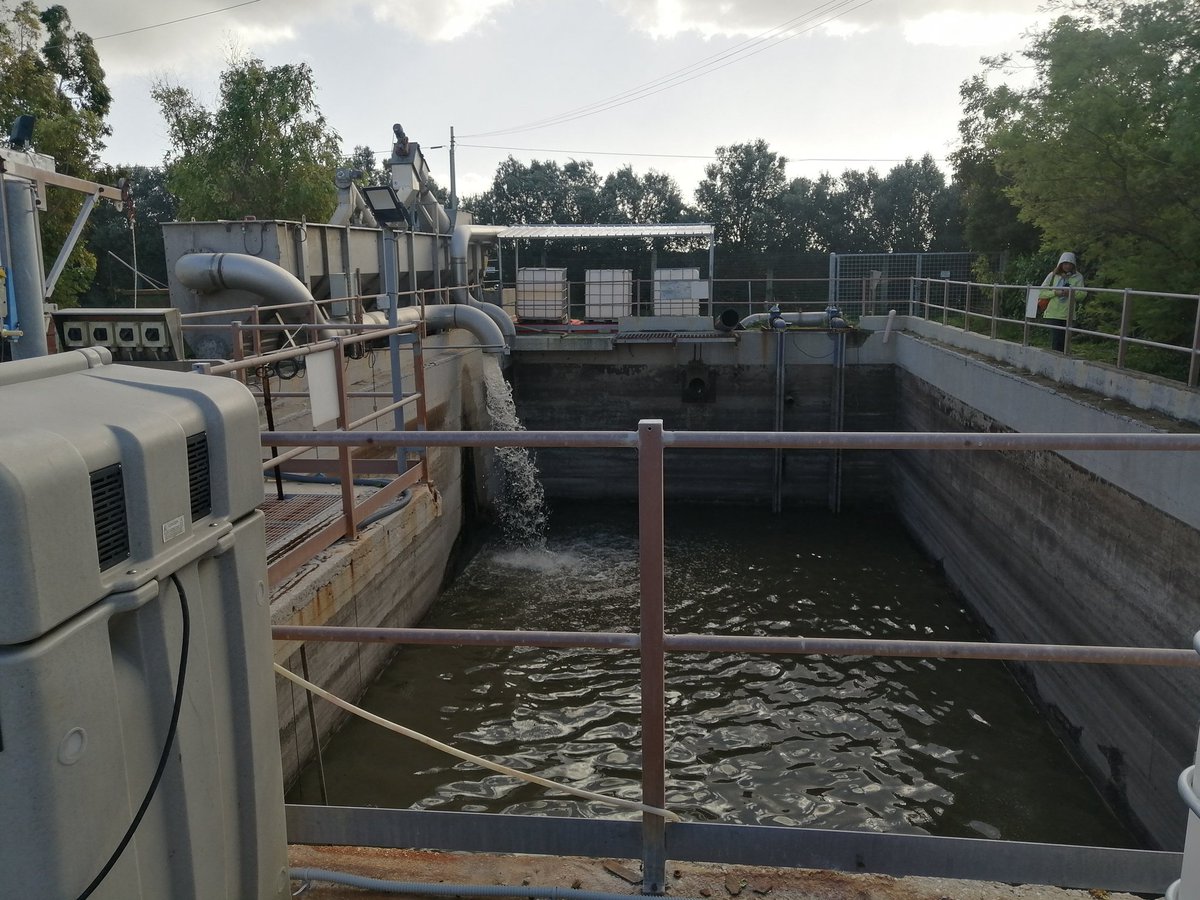 PRIMA NEXUS-NESS tweet media