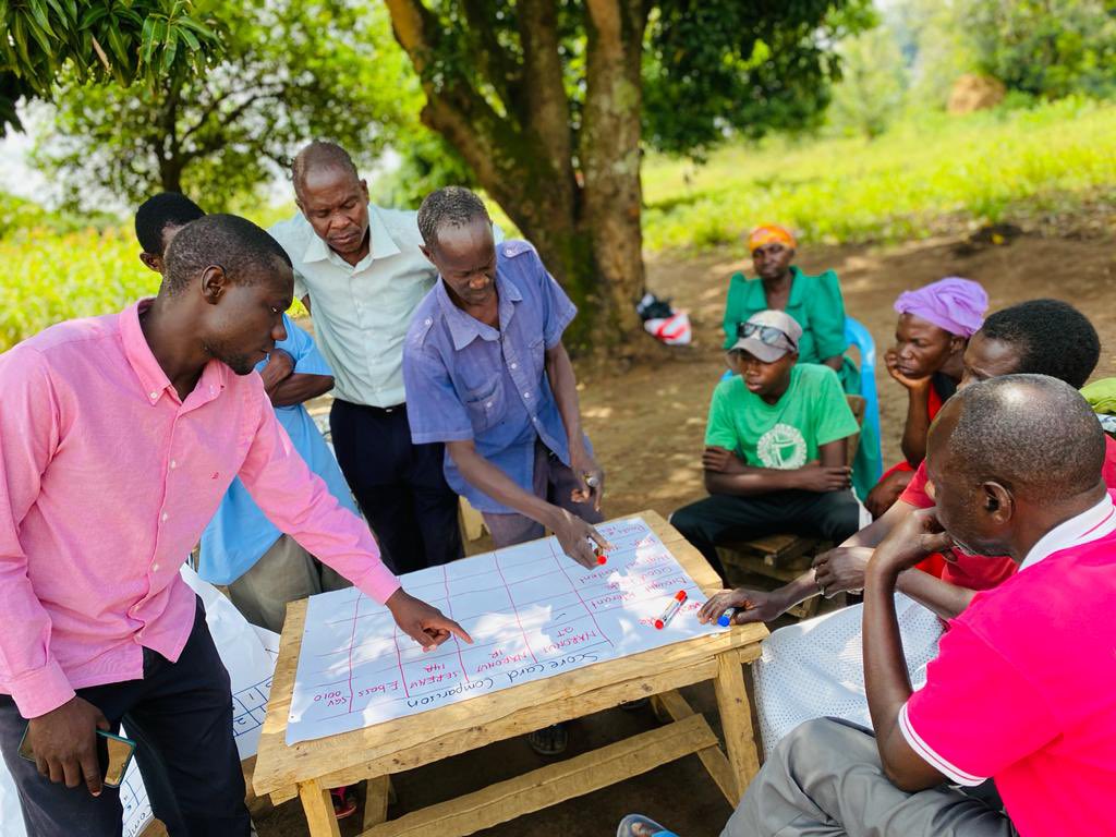 ESAFFUG's tweet photo. Members of Ogolai Farmer Field School in Amuria are taking part in evaluation of their breeding objectives. 

ESAFF Uganda is conducting grassroots evaluation for all the 31 FFS conducting Participatory Plant Breeding. 

#AgroecologyNow https://t.co/gv8zAMz9Tu