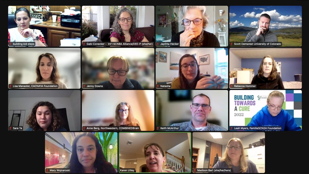 DEE_Pconnection's tweet photo. #TheInchstoneProject met with our Steering Committee, as well as with our Industry Advisory Panel. Incredible work is happening via this multi-stakeholder project to ensure that every person's progress can be measured and counted! https://t.co/VnoChgoROO https://t.co/AYj1olTxGb