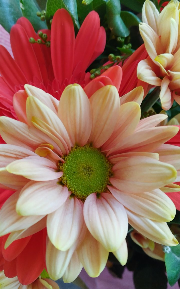riklinm's tweet photo. Happy Friday https://t.co/kVxHUmr82H