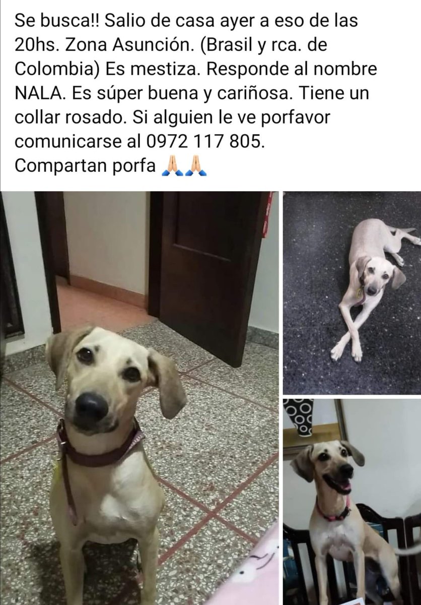PORFAVOR RT💔💔💔