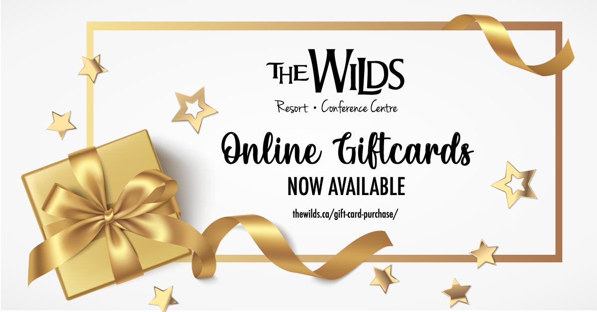 The Wilds NL (@thewildsnl) on Twitter photo 