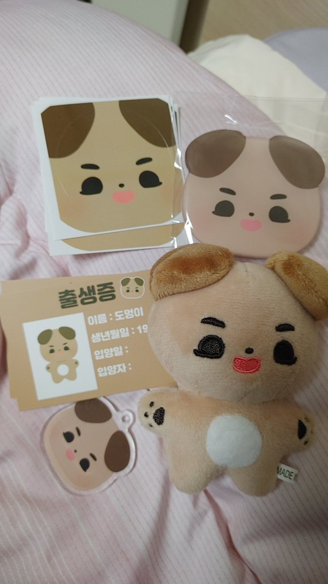 어웅 빕냥이 도멍이 접선! 빨리 다른 솜뭉치 와기들도 어서 와서 만나주렴!