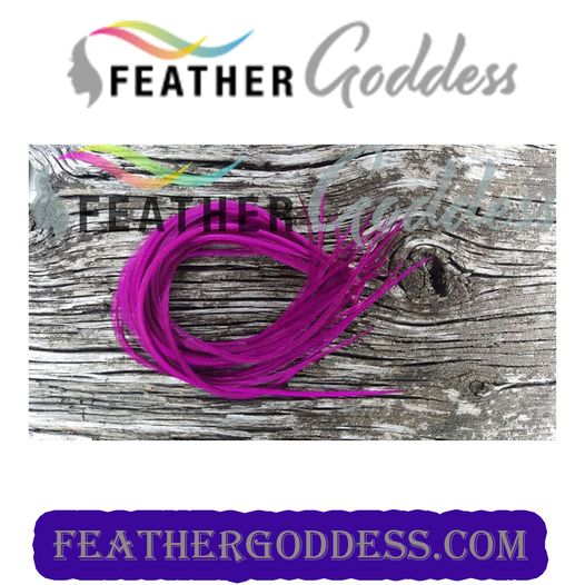 VERY BERRY HAIR FEATHERS
feathergoddess.com/.../Hair.../FG…...
:
#hairstyles #hairextensions #hairsolons  #featherhairextensions #hairstyle #fashionfeathers #feathergoddess #extensionspecialist #hairdresser #collegefootball  #collegiatesports #schoolcolors #holidaycolors #holidays