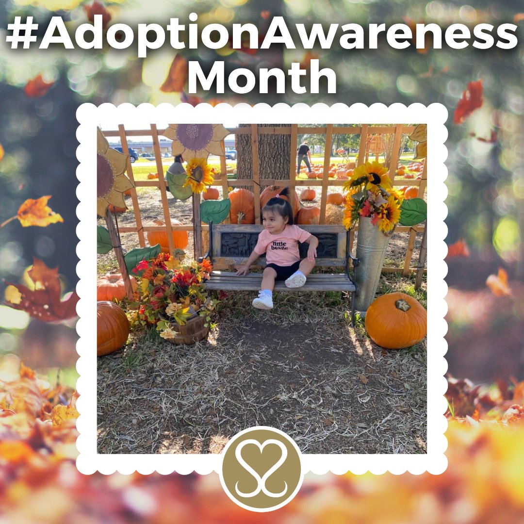 Sacred Selections tweet media