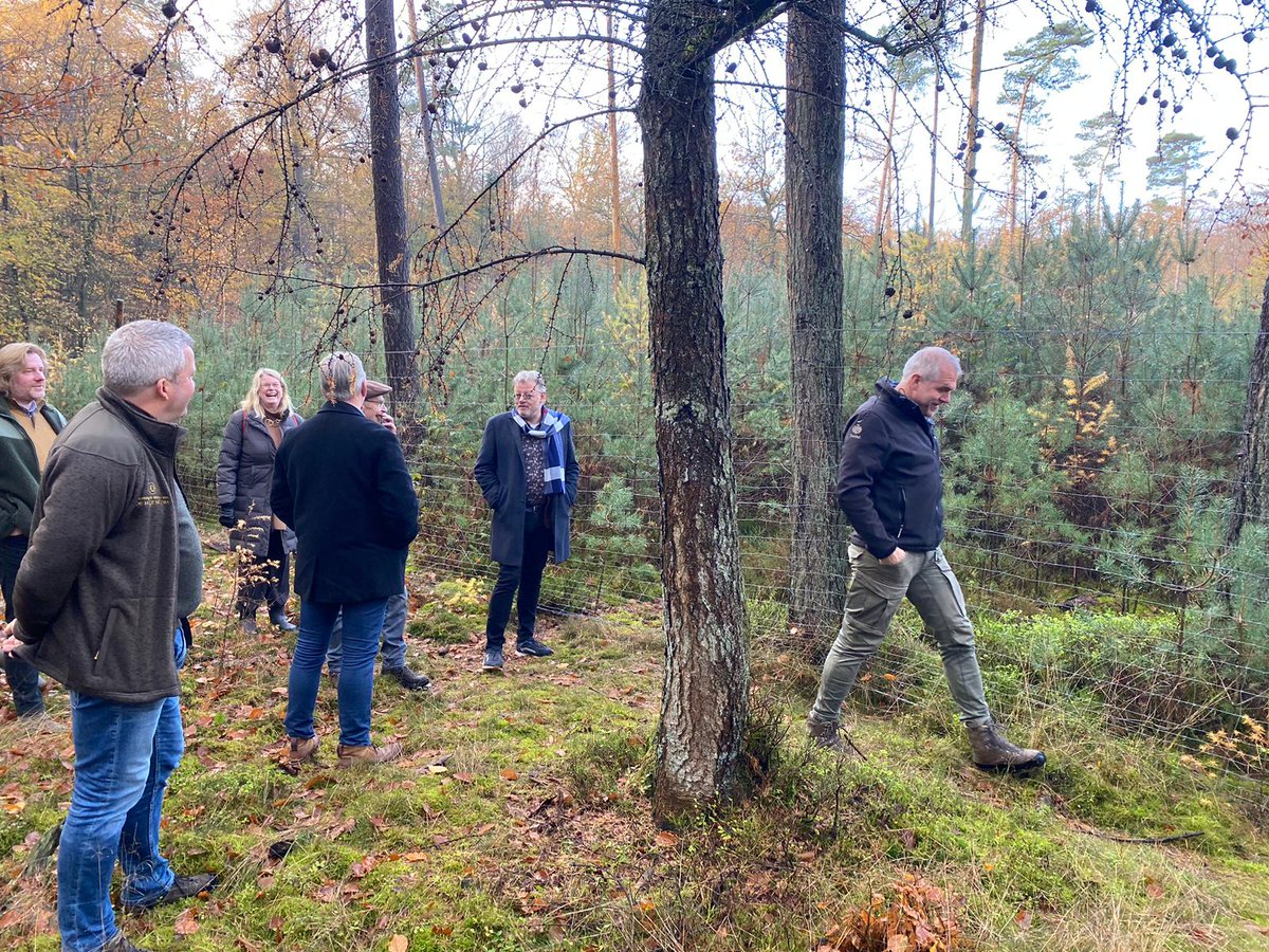 Met de Faunabeheereenheid Gelderland te gast bij Hof te Dieren van #Twickel. We bekijken het verschil in bosverjonging tussen het deel waar de edelherten wel en niet kunnen komen <a href="/provgelderland/">Provincie Gelderland</a> <a href="/kasteeltwickel/">Kasteel Twickel</a> <a href="/FBEGelderland/">FBE Gelderland</a>