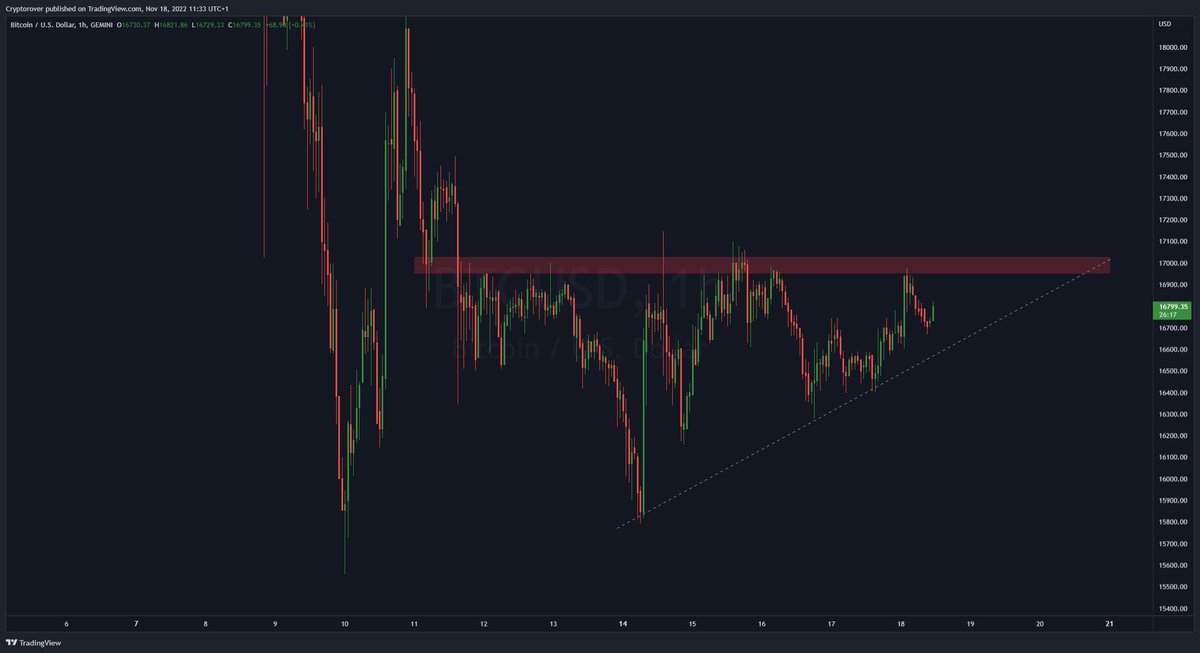 🌸 Qi 馨 tweet media