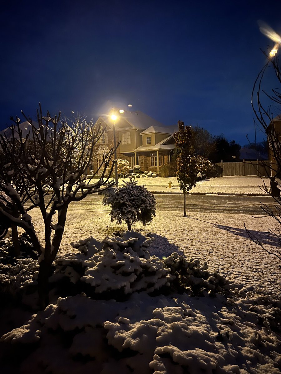 Diane Des🌹 tweet media