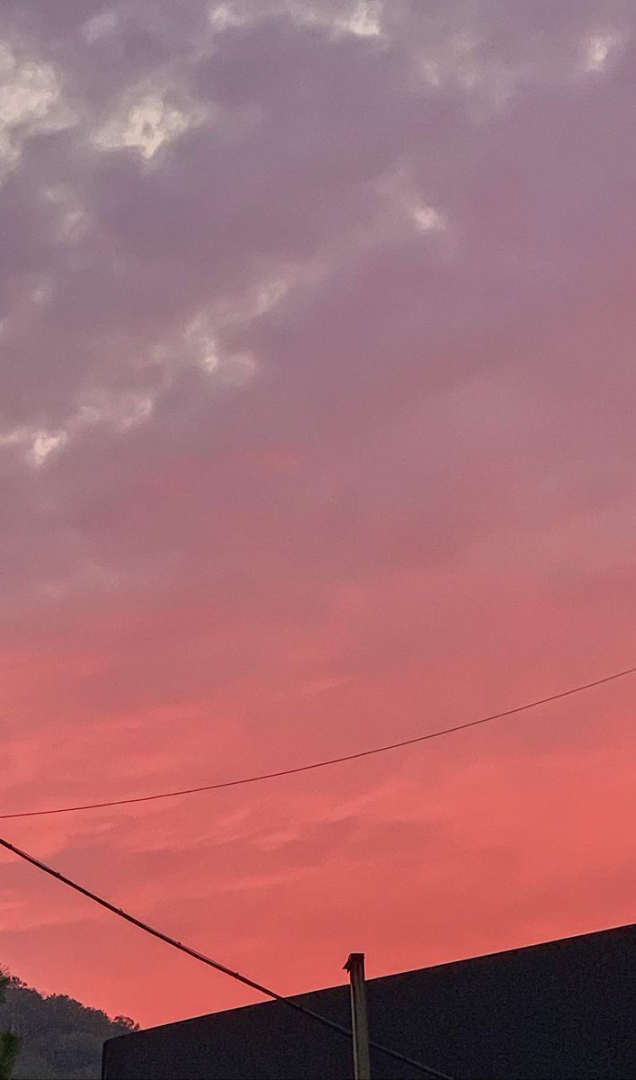 odebbl's tweet image. 🦊🫧 [221118] 
Profile picture and background picture update