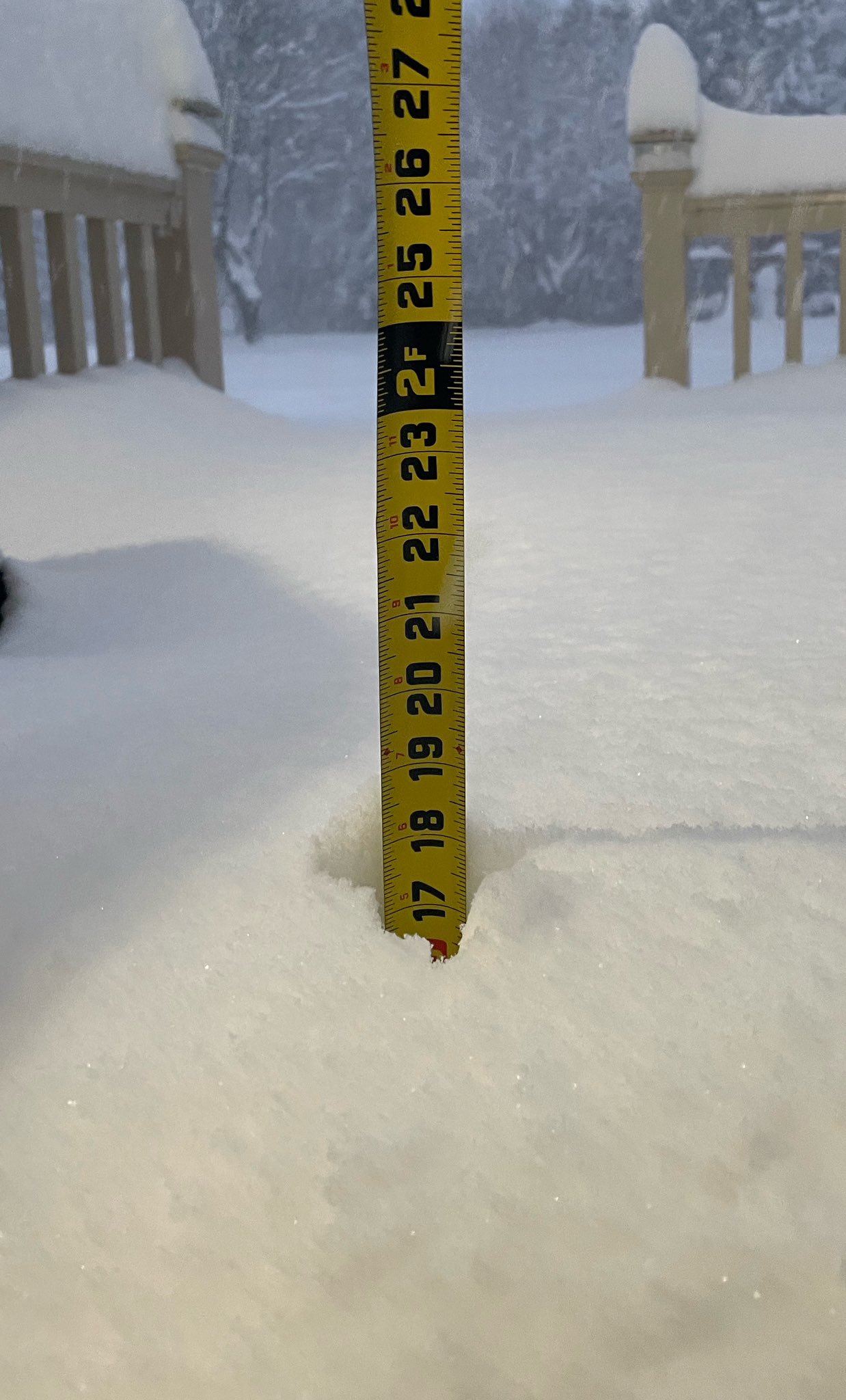 TJ Allard on Twitter "Looks like we did get a little snow last night