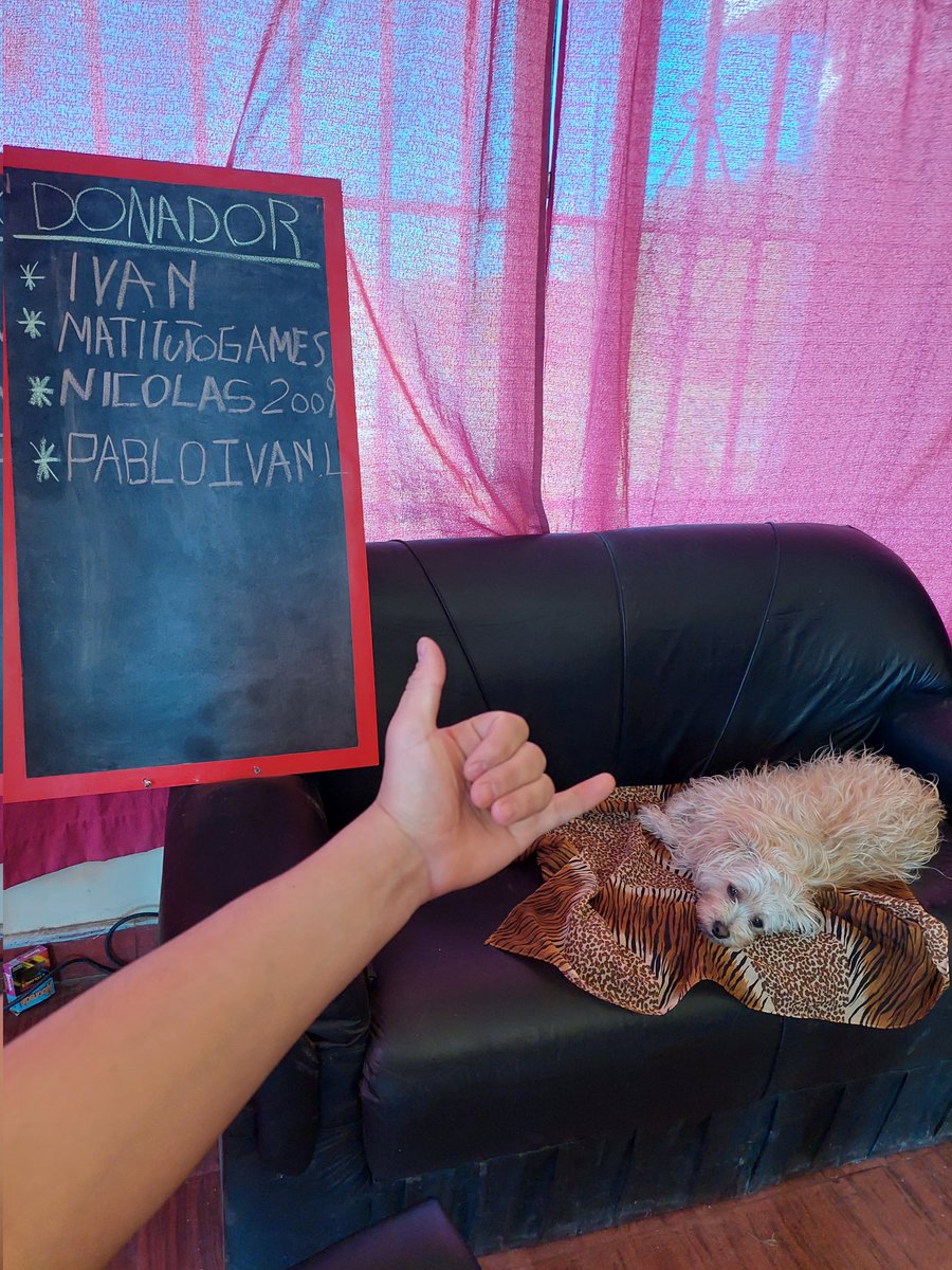 GastiiMR's tweet photo. Por cierto gracias a todos los donadores del directo de ayer, aca andamo con la buli de chill 🤙 https://t.co/HVwMje06d1