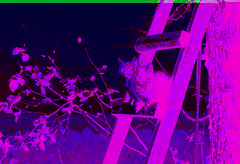 G. Cat on Twitter: "Cat 159f671bea9f56176adae8b9abc8e0cee0c507b8"