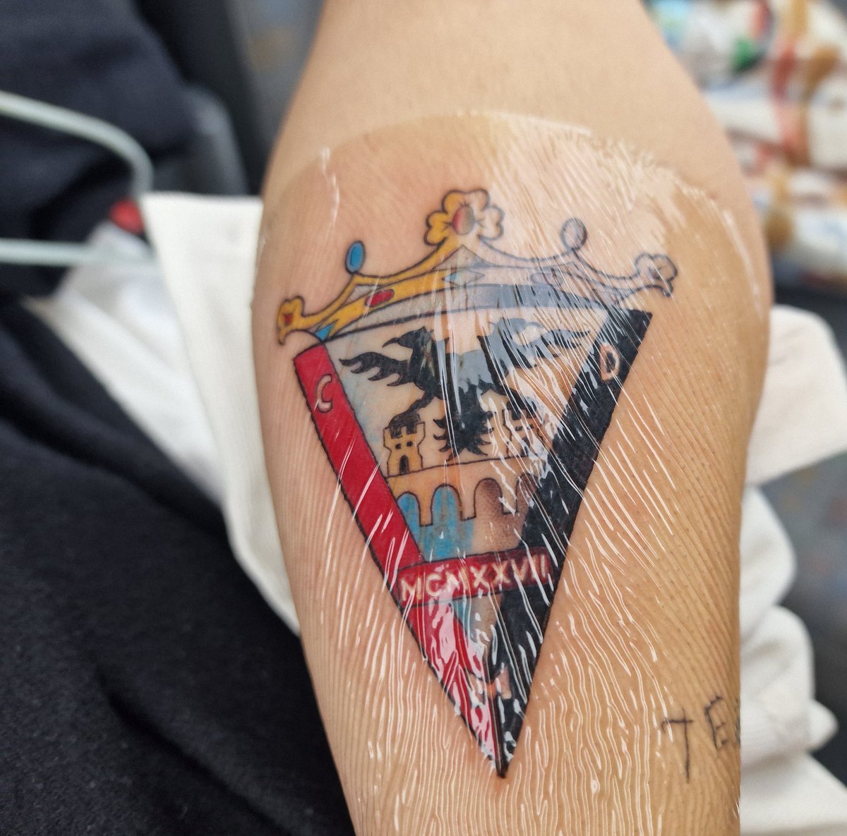 Cristina Varas tweet media