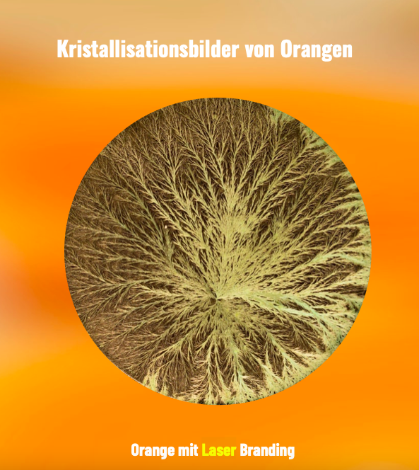LudgerWess's tweet photo. OMG - Sie etikettieren Obst und Gemüse mit gefährlichen Laserstrahlen! Seht ihr den gravierenden Unterschied? Da ist die ganze Lebenskraft verschwunden! #Esoterik #Schwurbel #Biodynamik https://t.co/dA7kj9vhPl https://t.co/JSmsoAbyU8