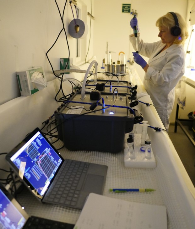 Mark Moore tweet media