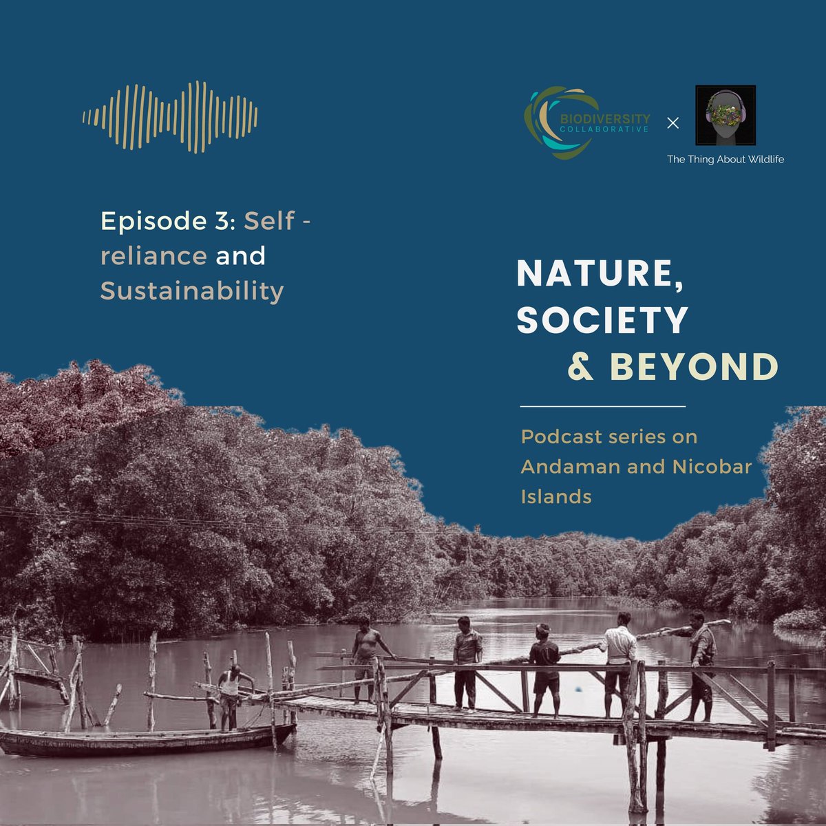 BiodivCollab's tweet photo. 3rd #episode release 🎙️🏝️

Journey through the lived experiences of @manishchandi, Madhuri &amp; Shiba - as they delve into memories and fate of the Andaman &amp; Nicobar Islands. Tune in to understand how we can walk the fine lines b/w #development, #conservation &amp; social wellbeing. https://t.co/W4tklrEnr1