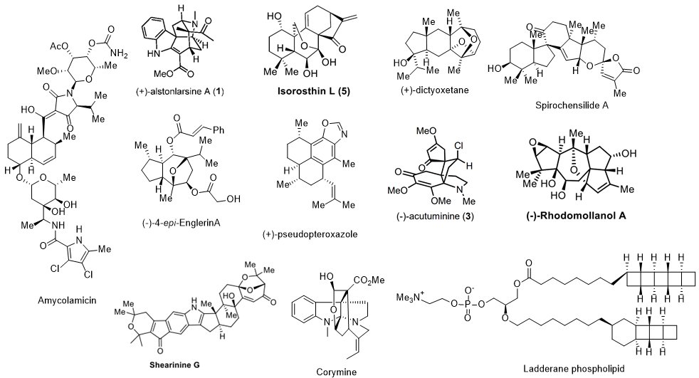 Waser Group (@lcsolab) on Twitter photo A full year of total synthesis problems! More than 20 syntheses added to our collection of synthesis exercises! Check our website to find more than 140 organic chemistry problems! #LCSOSynthesisProblem <a href="/EPFL_CHEM_Tweet/">EPFL Chemistry</a> #TotalSynthesis
Take a look: epfl.ch/labs/lcso/synt… A full year of total synthesis problems! More than 20 syntheses added to our collection of synthesis exercises! Check our website to find more than 140 organic chemistry problems! #LCSOSynthesisProblem <a href="/EPFL_CHEM_Tweet/">EPFL Chemistry</a> #TotalSynthesis
Take a look: epfl.ch/labs/lcso/synt…