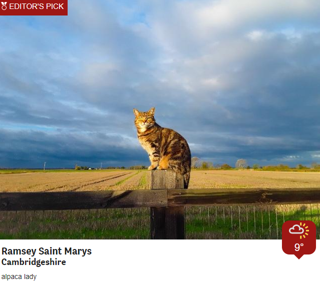 @bbcweather: Thank you to our lovely BBCWeatherWatchers for sending in their pics this morning👏👏✨If you would like to join #BBCWeatherWatchers click here➡  🥳 BBC Weather (@bbcweather) / Twitter