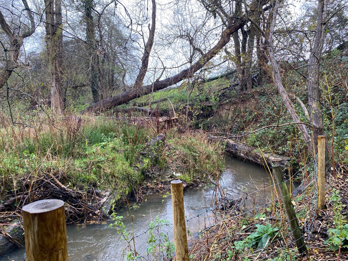 RibbleTrust's tweet photo. It’s been another busy week in the world of rivers!
This is #HoweBrook that runs into the #RiverYarrow in the #RiverDouglas catchment.
Our data and evidence and farm advice teams are out and about sampling water quality for our projects.
#DataAndEvidence #RiverGeeks https://t.co/9TIkTMKd80