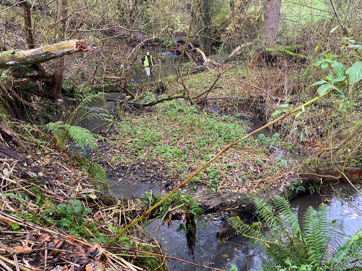 RibbleTrust's tweet photo. It’s been another busy week in the world of rivers!
This is #HoweBrook that runs into the #RiverYarrow in the #RiverDouglas catchment.
Our data and evidence and farm advice teams are out and about sampling water quality for our projects.
#DataAndEvidence #RiverGeeks https://t.co/9TIkTMKd80