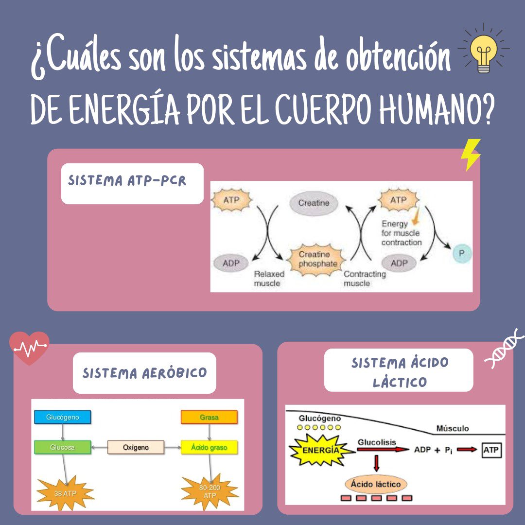 Crespi_edfuib's tweet photo. ¡¡Buenas!! Vamos a recordar el tema que empezamos este miércoles.✨La condición física✨. En este tema vimos el concepto de capacidad aeróbica y los diferentes sistemas humanos energéticos, vamos a recordar cuáles eran⬇️⬇️ y qué procedimiento siguen @EFsaludable_UIB #22121_UIB https://t.co/DhFWDITGmo