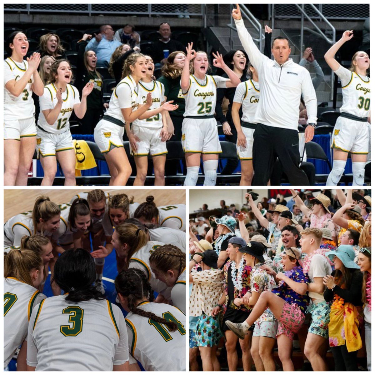 Lady Cougars tweet media