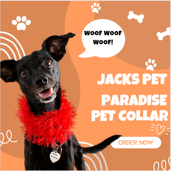 JsPetParadise's tweet photo. Order our latest collar!
First time buyers get 50% off purchases!
In our store or on our website😮 https://t.co/FSjq9k0Akv