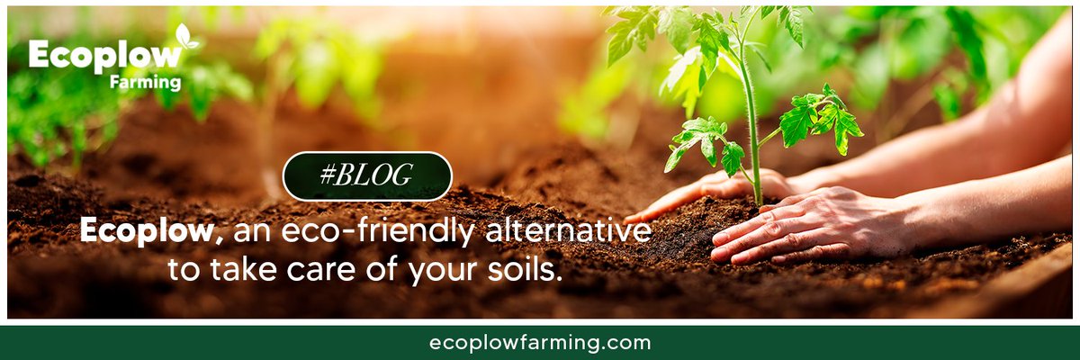 EcoplowF's tweet photo. #BLOG
Ecoplow, the new model for agricultural production that takes care of your soils. More info in our Blog 👉https://t.co/m6fUZmREcU
Ask for quotes here👉https://t.co/FvbSqTYq14 https://t.co/XByc1sne3Z