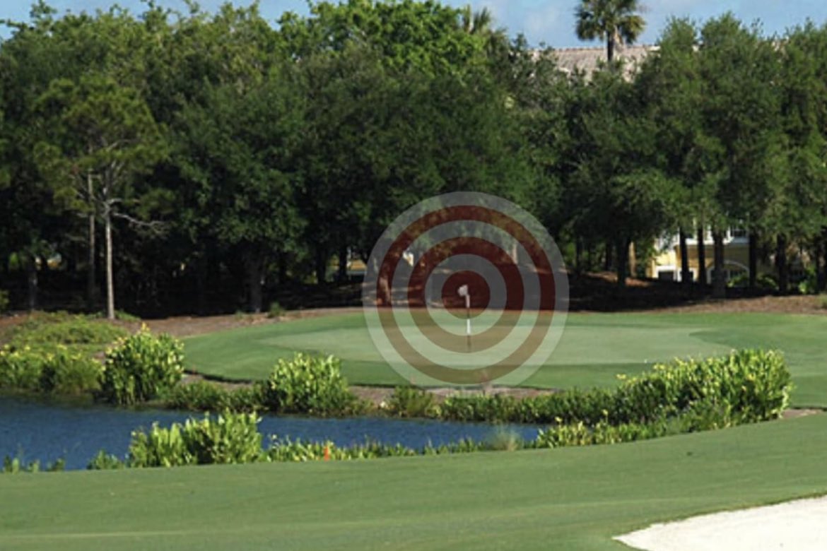 bsheridangolf's tweet photo. Zero in on your target rather then focusing on swing mechanics when you play to improve accuracy and tempo. #golf #targetfocused @ImpactZoneGolf https://t.co/lKl3FsuYpL