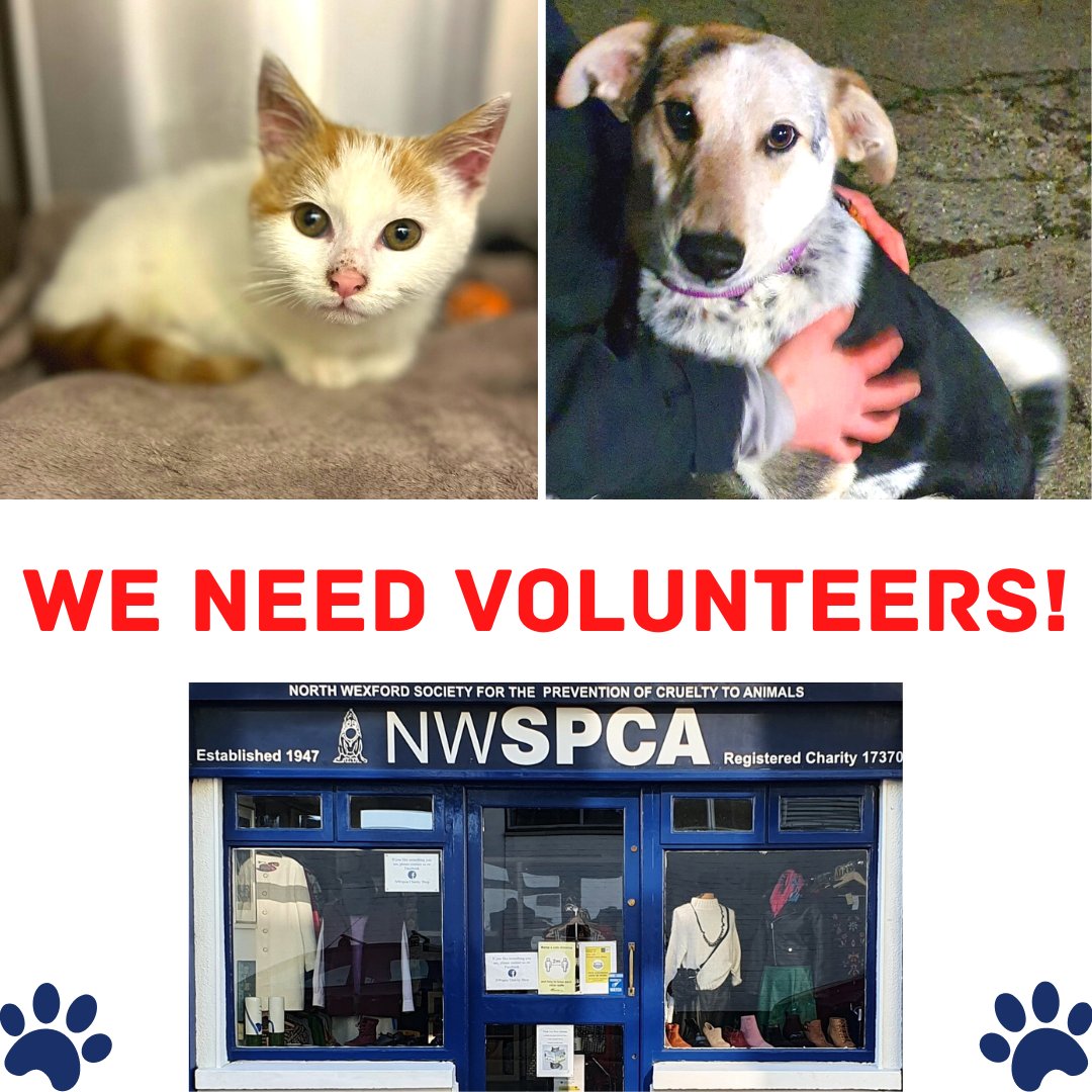 NWSPCA_'s tweet photo. 🙋‍♀️🙋‍♂️Volunteers Volunteers Volunteers - We are looking for Volunteers across the board - For our Cattery, Kennels &amp; Shop in Gorey.

No experience needed - A love of animals - a Must ❤🐾

Please DM us your phone number, availability and preference (cats, dogs and/or shop).

1/2 https://t.co/jwNzqHBICV