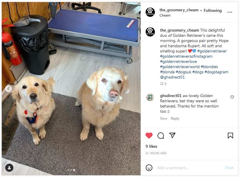 GHSdirect's tweet photo. Animal Shampoos / Dog Shampoos with high dilutions. Suitable on and for sensitive skin, esp during this season's weather! #groomer #pets #vets #animal visit our website for more info and prices at https://t.co/nZhYZRi2lo #offers and #introoffer available. https://t.co/2Ih9DbeqJd