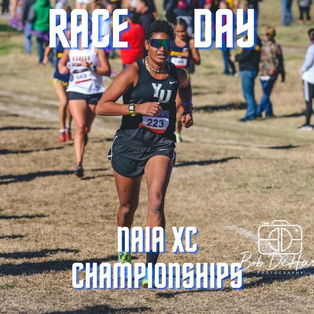 York University TF and XC tweet media