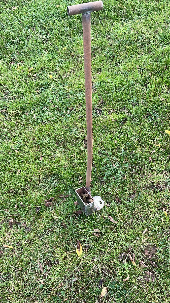 Will Heygate tweet media