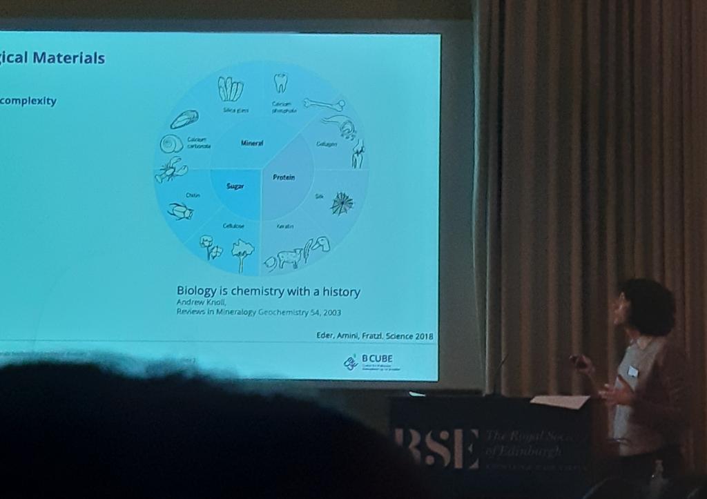 Iwibit2022's tweet photo. Last session about sustainable materials #iwibit2022. Very good stories about the insect cuticula diversity of functions (Yaël Politi), spider silk  (Thomas Scheibel) and bombyx mori silk ( Philip Seib) https://t.co/ShEvmkGAY0
