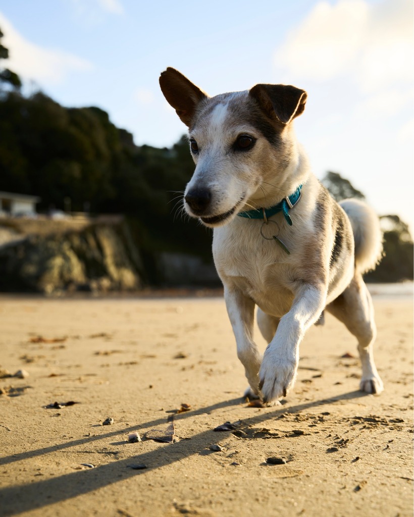 Scot Baston tweet media