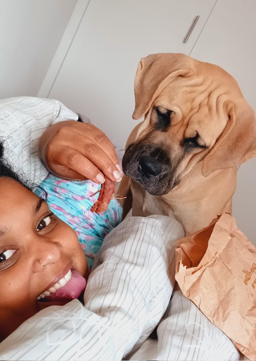 Lisaleesolomon1's tweet photo. Yesterday I bought the bestie biltong because she loves it. This morning she came barging into my room like she knew I got something nice for her birthday😂 imagine waking up and this face is already staring at you🤭😂

#BellaturnsONE 🐕🎀🥳 https://t.co/xg34HIyQMy