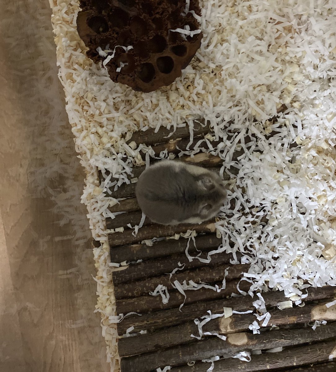 우뜨캐이런한톨콩알같은존재가잇을수잇는거임..