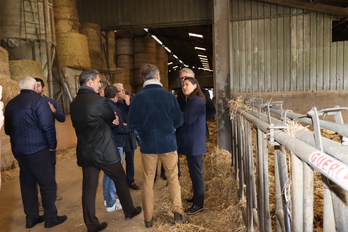 #agriculture 
Invité par pdt <a href="/coordinationrur/">Coordination Rurale</a> 03 &amp; AURA, V. Hatsch, <a href="/Prefet03/">Préfet de l'Allier</a>, a visité, avec DDT03, l'exploitation agricole de G. Blanchet à Saint-Sornin.
✅échanges très constructifs sur la transmission d'exploitations, l'attractivité et l’installation des jeunes agriculteurs