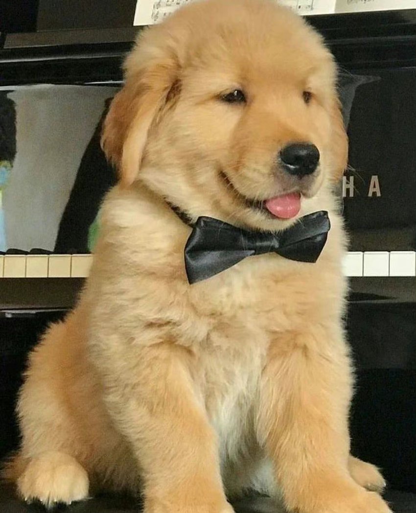 #LUCAS #루카스 #黄旭熙 #ルーカス