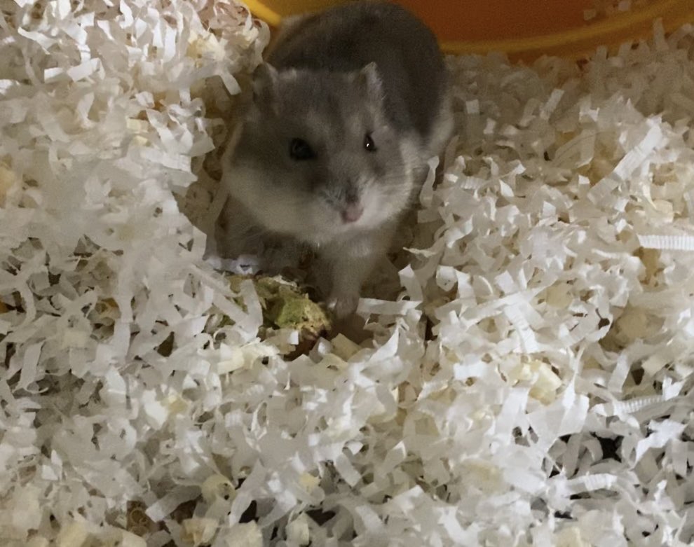 ㅠㅠ 이렇게조구만머리로 무슨생각을할까 누난항상너무궁금해.. 오늘도 잘먹어서 기특하다 🥹🤍