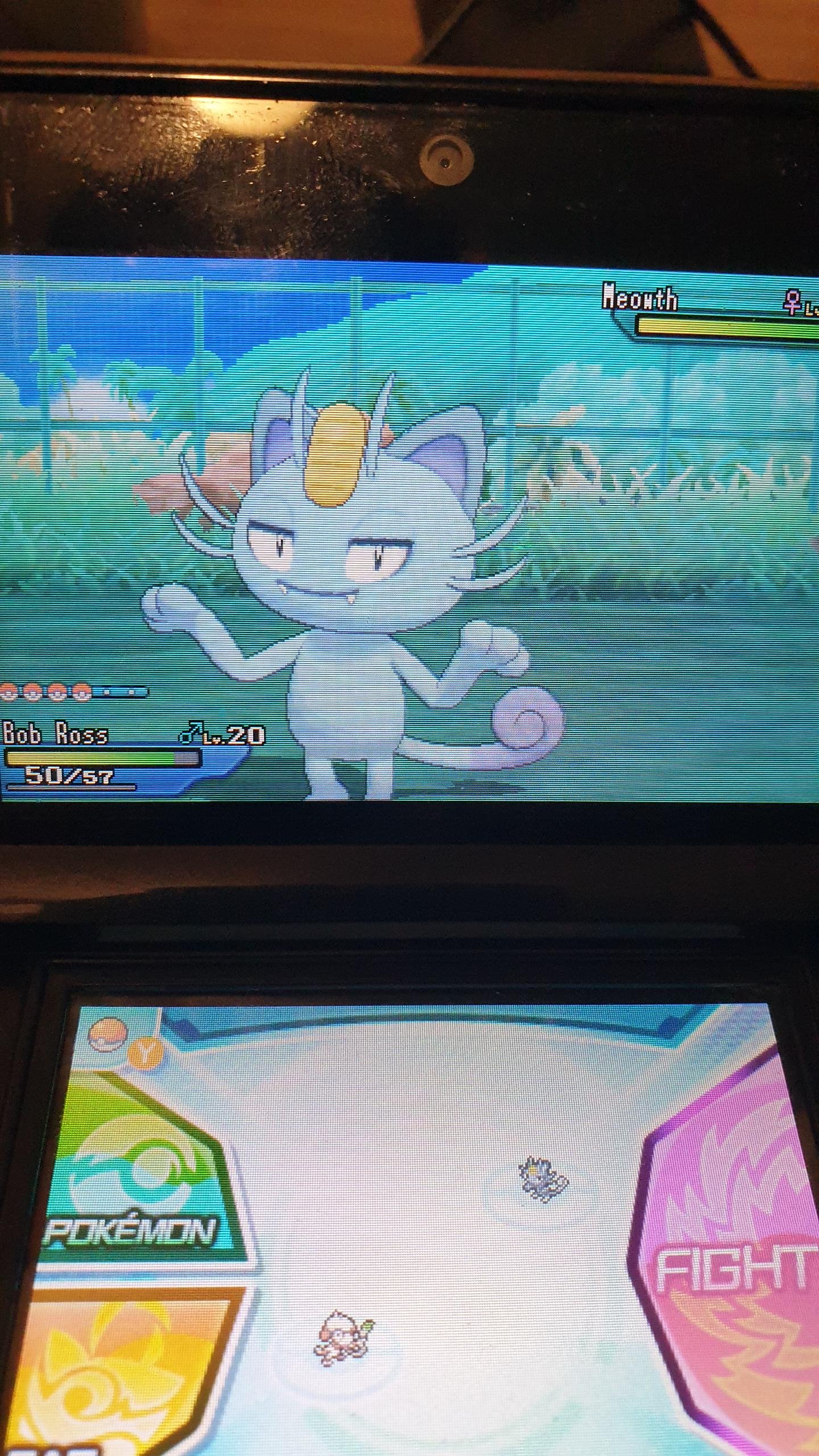 Usum Twitter 搜尋 Twitter