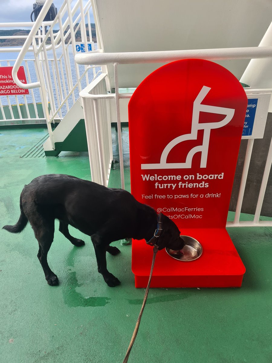 StoryScotland's tweet photo. Heading off to Islay, any local advice anybody can share is always welcome!
@CalMacFerries #PetsOfCalMac
@isleofislay https://t.co/iE1v6YBkRN