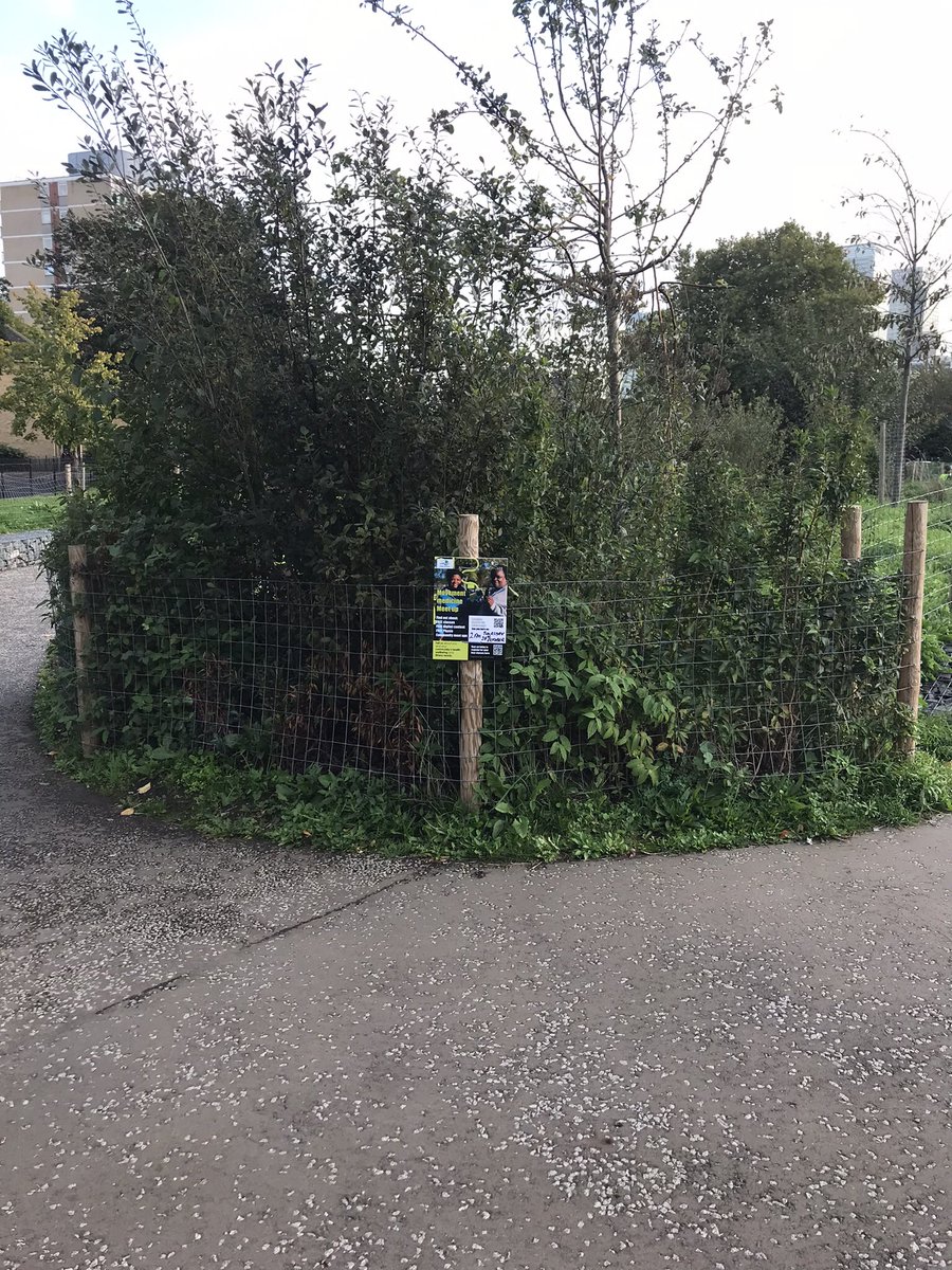 Kesson Physio tweet media